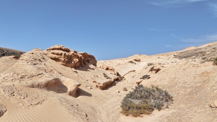 desert place where the scarce vegetation meets the mountains and the sand 