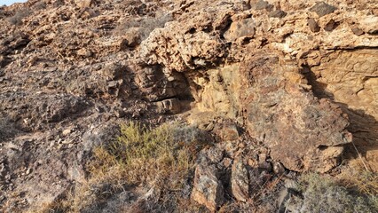 desert place where the scarce vegetation meets the mountains and the sand 