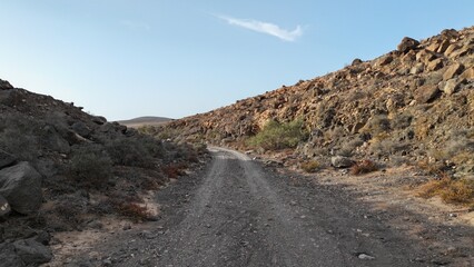 desert place where the scarce vegetation meets the mountains and the sand 