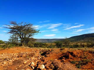 Natural road with bright red earth soil and green vegetation in the Masai Mara Wildlife Reserve,...
