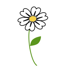 White daisy flower with yellow center and green stem.