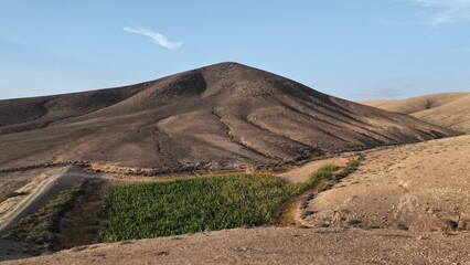 desert place where the scarce vegetation meets the mountains and the sand 
