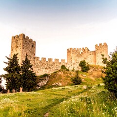 Obraz premium Ancient castle on a grassy hilltop