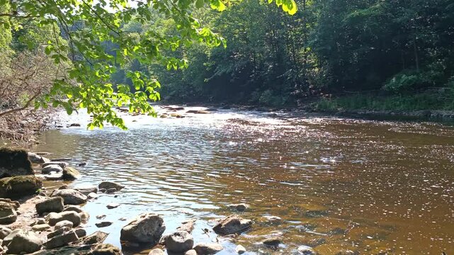 Ure River near Rippon Yorkshire UK