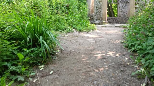 Hackfall Woods Mowbray Castle Ruins - Rippon, Yorkshire UK