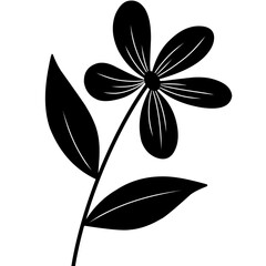 black and white flower