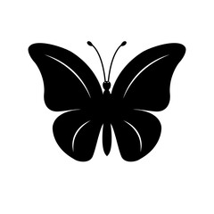 black and white butterfly