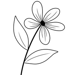 Flower sketch 
