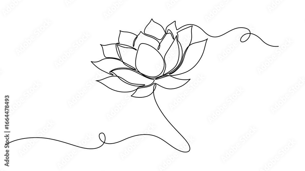 Poster lotus, water lily. one line drawing animation with alpha channel, animated self drawing of continuou