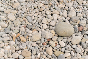 Soft light over rounded coastal pebbles and stones. Pebbles offer color variety and pattern. Diverse pebble mix on beach forming tactile, visual interest.
