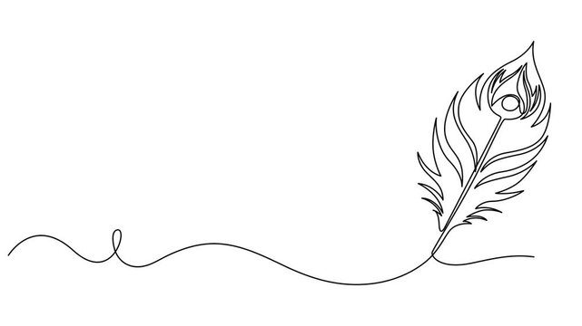 Peacock Feather continuous one line drawing animation, Abstract peacock feather, Self drawing animation one continuous line draw, logo, Animation of one single line drawing of beautiful peacock