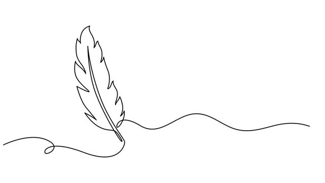Peacock Feather continuous one line drawing animation, Abstract peacock feather, Self drawing animation one continuous line draw, logo, Animation of one single line drawing of beautiful peacock
