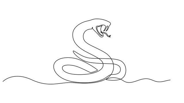 snake animation continuous one line drawing, Animated self drawing of single continuous line draw venomous snake for business logo identity. Deadly black mamba mascot concept for company brand icon.