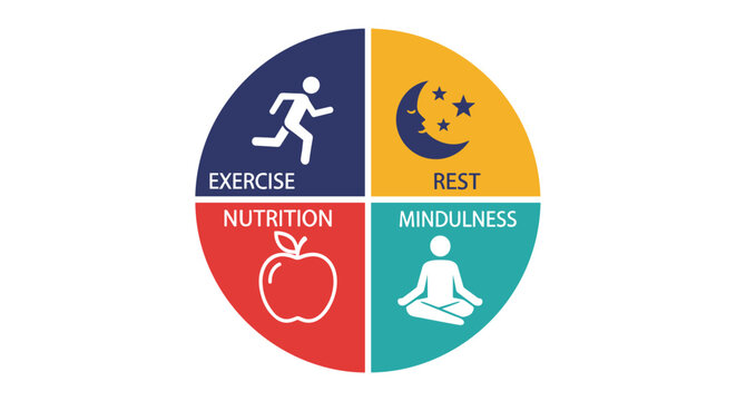 This engaging infographic visually presents the four key components for a healthy and balanced life, focusing on exercise, rest, nutrition, and mindfulness.