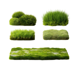 Lush green grass textures nature digital assets, isolated on transparent background, png