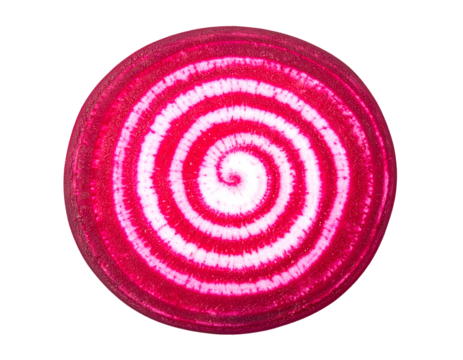 Chioggia beet round slice with candy-cane spiral rings and concentric red-white bands, crisp root vegetable cross-section on isolated background