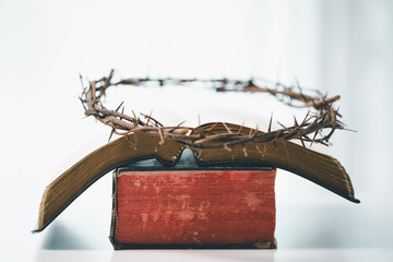 Crown of thorns is holy symbol in Christianity, representing sacrifice of Jesus Christ as described...