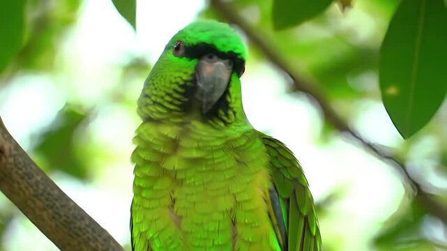 Vivid green parrot perched on a branch, set against a backdrop of leafy greenery, its plumage detailed and bright