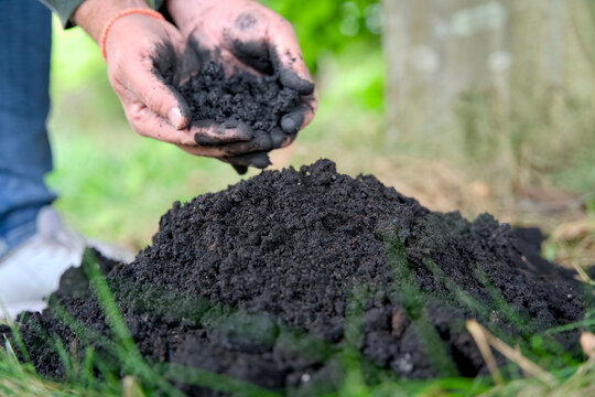 Adding biochar to soil for improving fertility and CO2 reduction. It enhances soil health and promotes sustainable carbon storage. Carbon farming, sustainable farming.