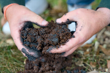 Adding biochar to soil for improving fertility and CO2 reduction. It enhances soil health and...