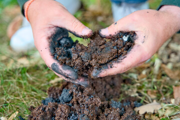 Adding biochar to soil for improving fertility and CO2 reduction. It enhances soil health and promotes sustainable carbon storage. Carbon Farming.
