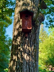 A Charming Birdhouse Decoratively Placed on a Tree Trunk Surrounded by Lush Greenery