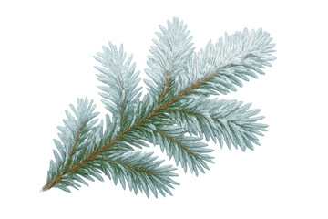 Realistic illustration of a pine branch covered with frost, isolated on a transparent background, perfect for winter-themed projects