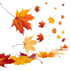 Obraz premium Autumn maple leaves flying in the wind on a white background.