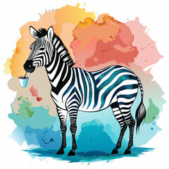 vector illustration of zebra, drinking, watercolor
