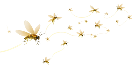Glowing fireflies flying in air on a white background.