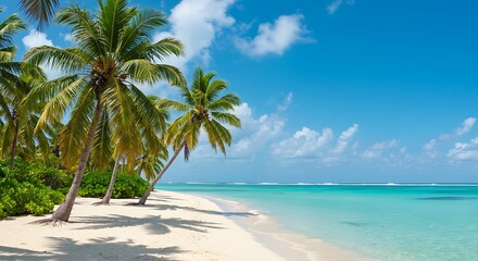 Tropical Paradise: Sun-Kissed Sands and Azure Waters