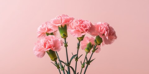 The Carnations In Soft Pink Bouquet Against Pastel Background For Spring Decor