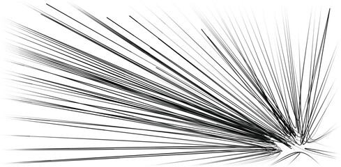 Abstract black and white dynamic dotted speed lines burst, action explosion dynamic moving effect. 