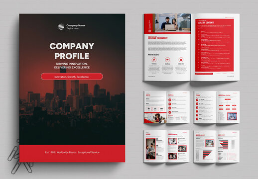 Company Profile Introduction for Clients
