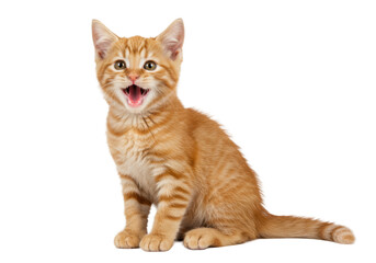 Naklejka premium Young vibrant ginger tabby kitten with bright expressive eyes, mouth open in excited vocalization, sitting on transparent background with copy space, embodying pure joy of pet ownership