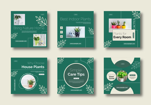 Indoor Gardening House Plants Social Media Template