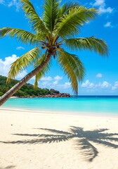 Palm's Embrace, Azure Shores