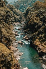 Verdant river winding through a lush valley