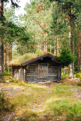 Obraz premium Sauna in the Forest