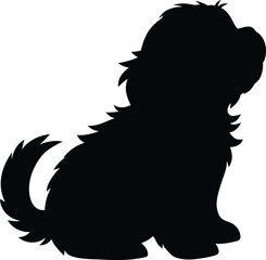 dog, sitting, fluffy, paw, adorable, black and white silhouette
