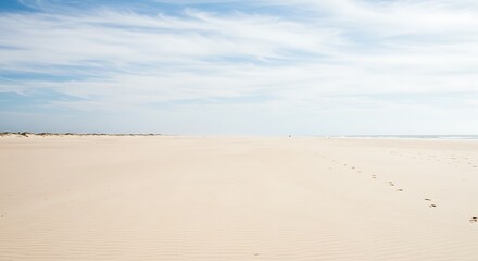 Coastal Serenity: Whispers in the Sand