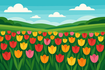 Vibrant tulip field landscape in modern flat cartoon style. Colorful spring flowers blooming in a green meadow with rolling hills. Beautiful nature scenery vector illustration.