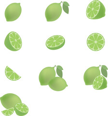 다양한 라임 아이콘