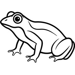 Frog vector line art on white background