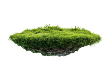 A grassy hill with a small patch of dirt in the middle. The grass is lush and green, and the dirt is brown. The hill is isolated and peaceful, with no other objects or people in the scene