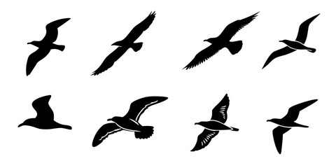 Collection of Black Silhouettes of Seagulls in Flight.
