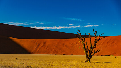 Magische Landschaft Deadvlej, Namibia