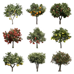 Nine Isolated Fruit Trees: Oranges, Apples, Pomegranates, Lemons, and Flowering Tree; High-Resolution Images for Design, Isolated on Transparent Background