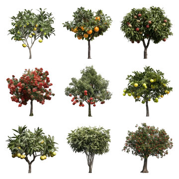 Nine Isolated Fruit Trees: Oranges, Apples, Pomegranates, Lemons, and Flowering Tree;  High-Resolution Images for Design, Isolated on Transparent Background