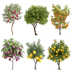 Six Lush Fruit Trees: Apples, Oranges, Plums, Lemons; Isolated, 3D Render, Vibrant Colors.
